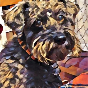 Meet your Posher, Laura